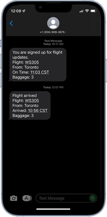 IPhone showing texts that arrived with flight updates